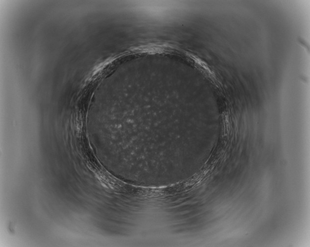 X0000098011158200804111226