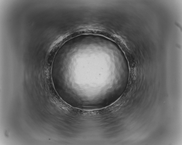 X0000098011159200804111226