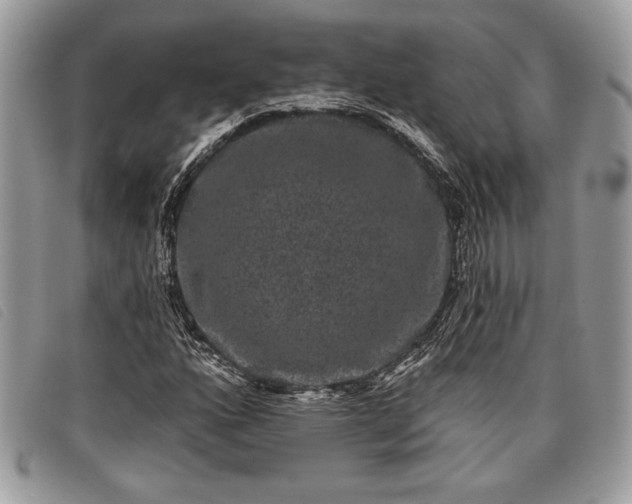 X0000098011160200804111226