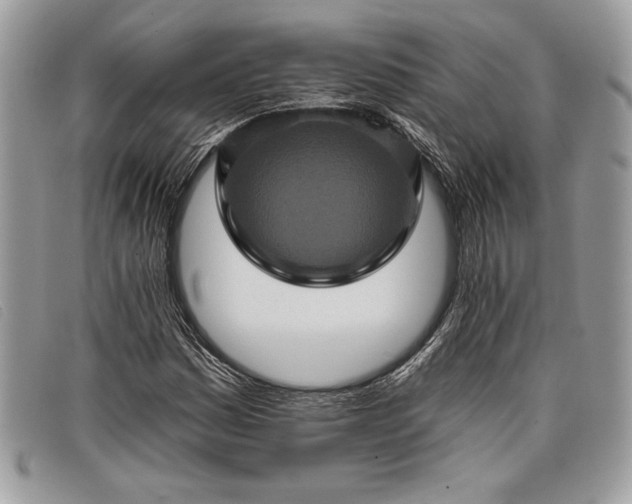 X0000098011161200804111226