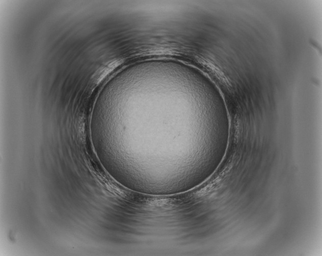 X0000098011162200804111226