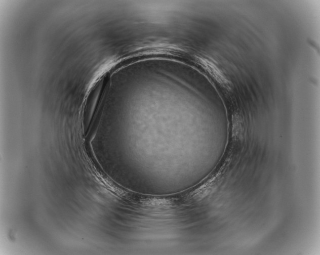 X0000098011164200804111226