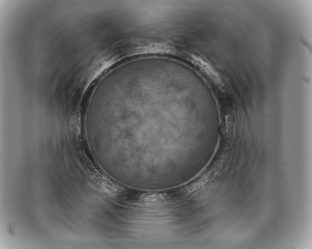 X0000098011165200804111225