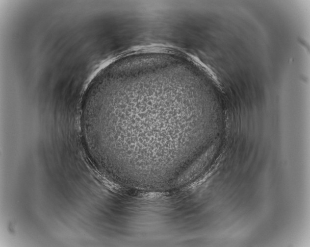 X0000098011166200804111225