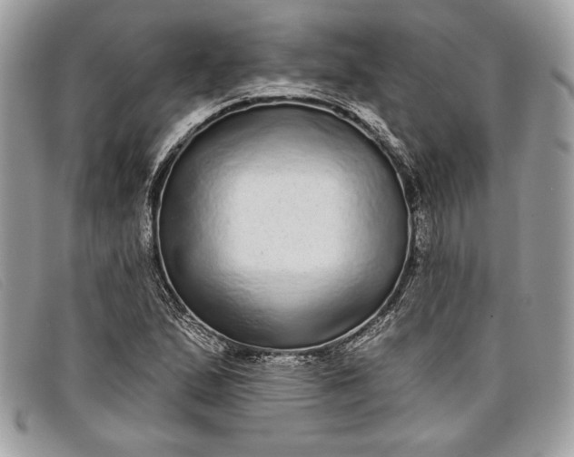 X0000098011167200804111225