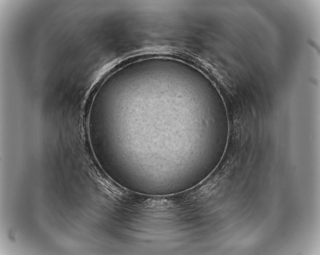 X0000098011168200804111225