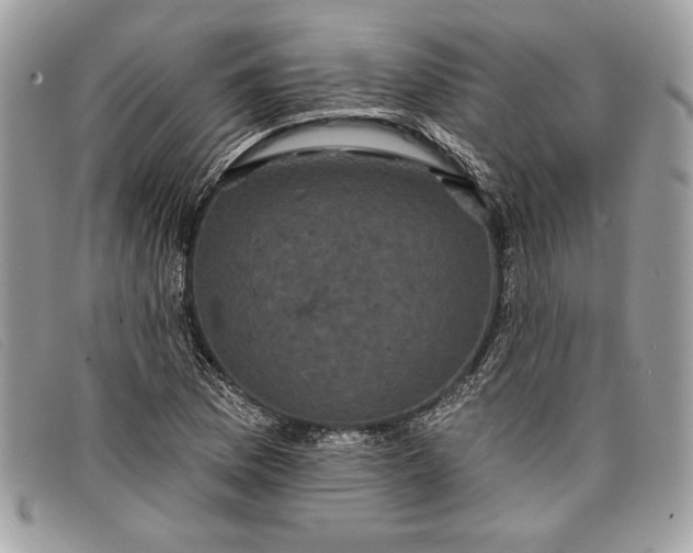 X0000098011169200804111225