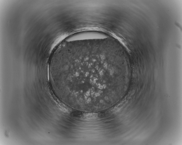 X0000098011171200804111225