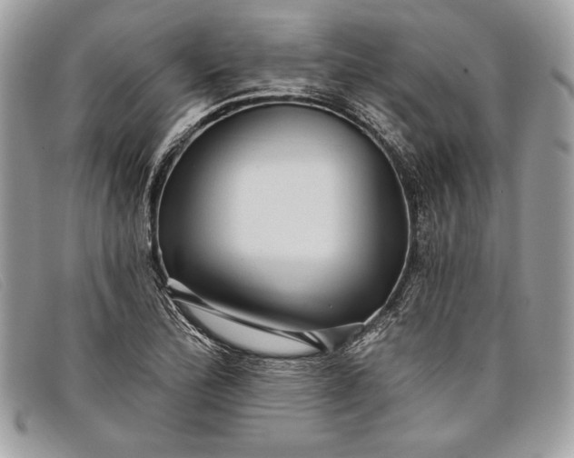 X0000098011172200804111225