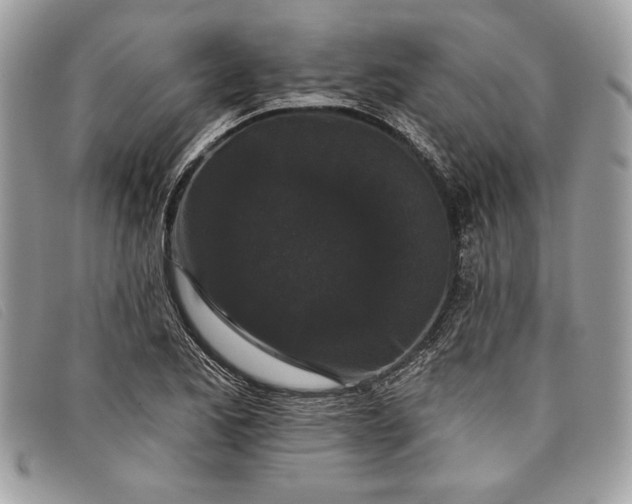 X0000098011173200804111225