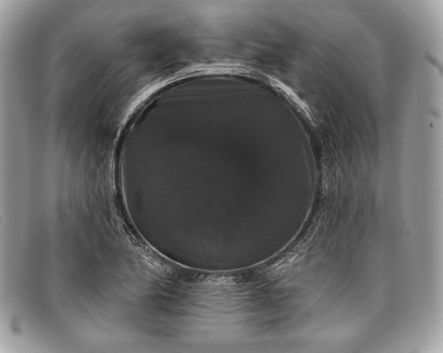 X0000098011174200804111225