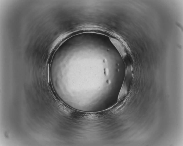 X0000098011175200804111225