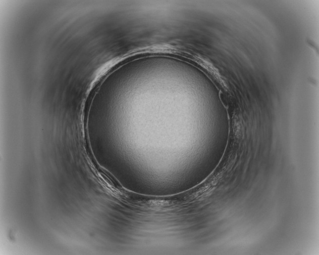 X0000098011176200804111225