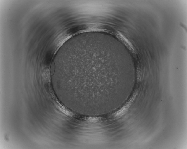 X0000098011177200804111225