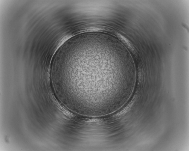 X0000098011178200804111225