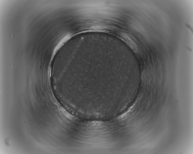 X0000098011180200804111225