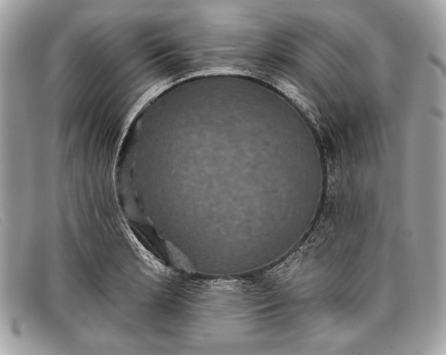 X0000098011181200804111225