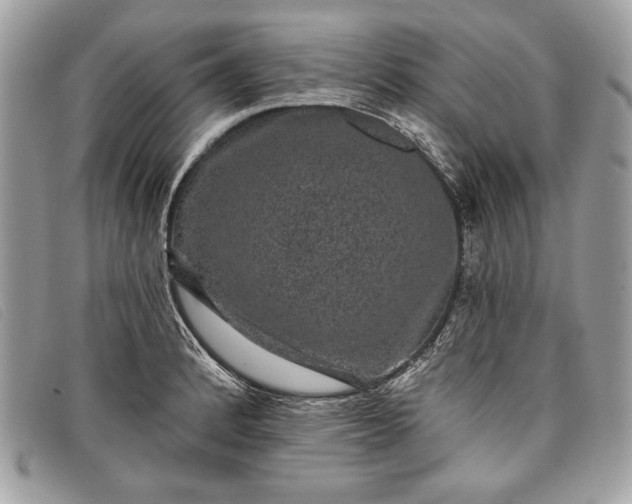 X0000098011184200804111225