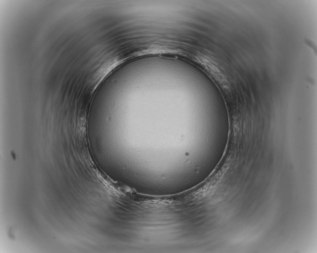 X0000098011185200804111225