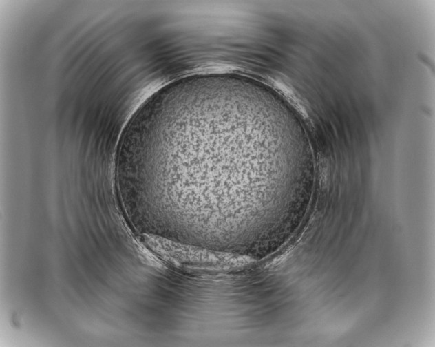 X0000098011186200804111225