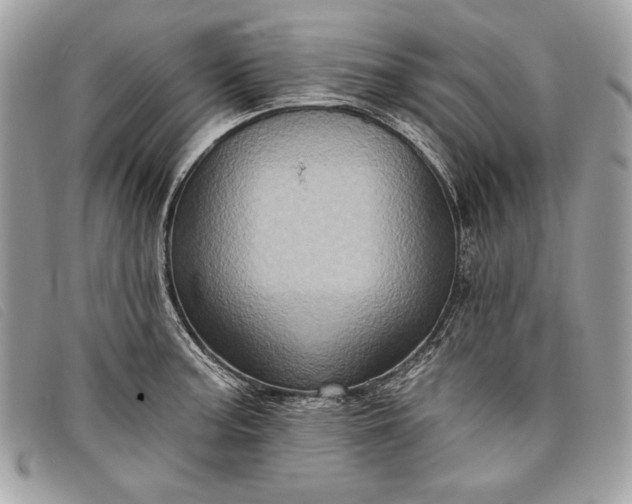 X0000098011187200804111225