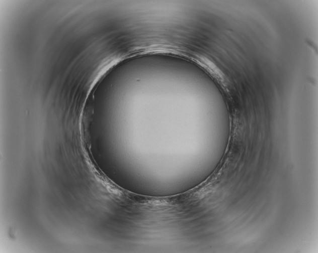 X0000098011190200804111225