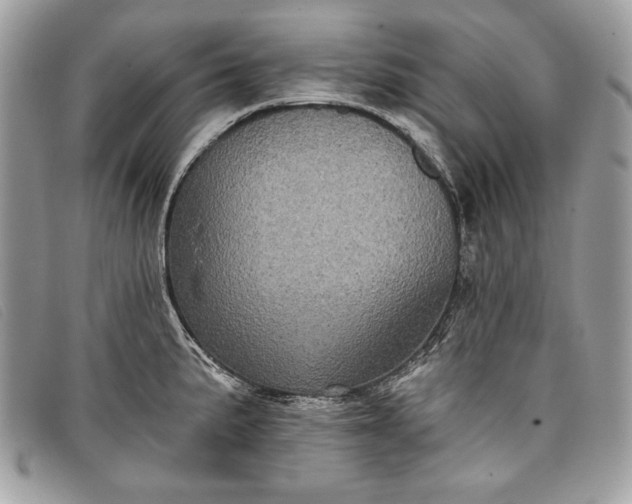 X0000098011191200804111225