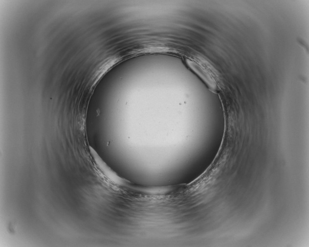 X0000098011193200804111225