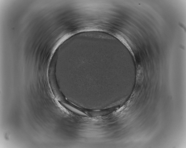 X0000098011197200804111225