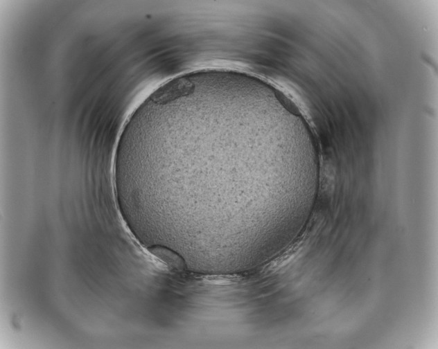 X0000098011199200804111225