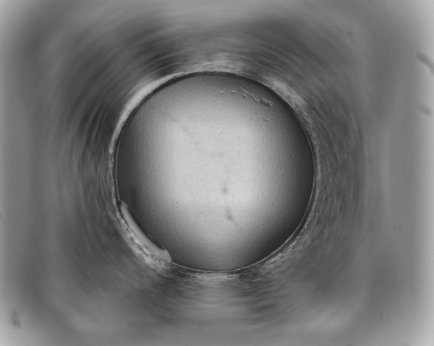 X0000098011200200804111225