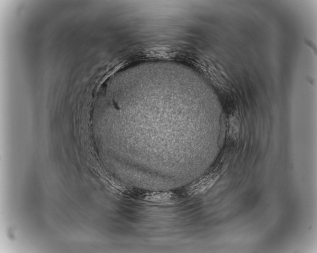 X0000098011201200804111224