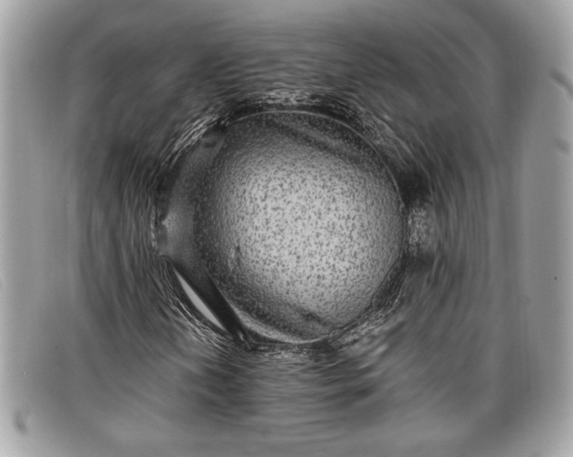 X0000098011202200804111224