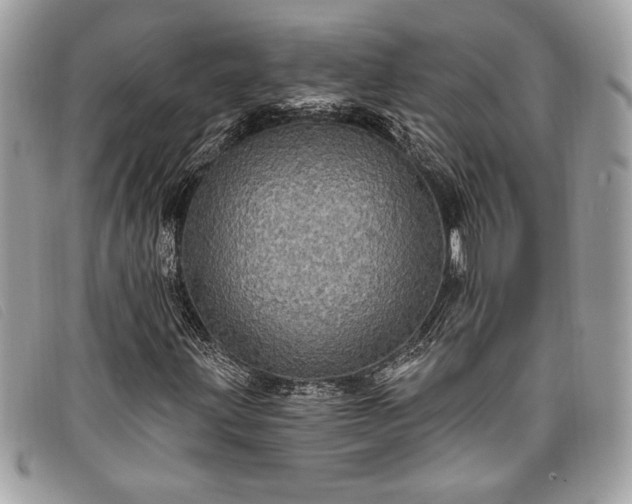 X0000098011203200804111224