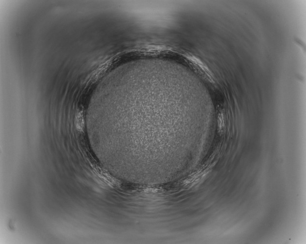 X0000098011204200804111224