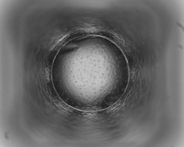 X0000098011205200804111224