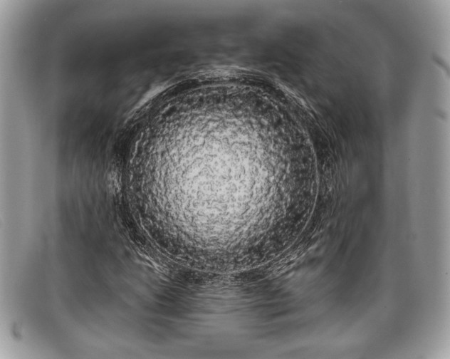 X0000098011206200804111224