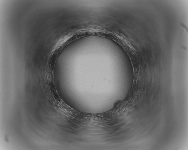 X0000098011207200804111224