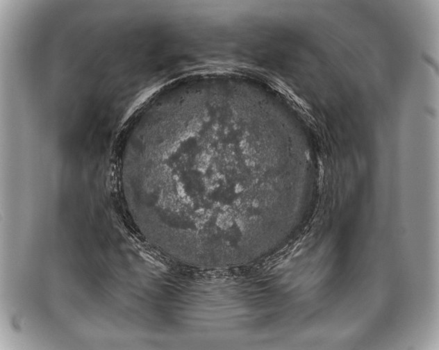 X0000098011208200804111224