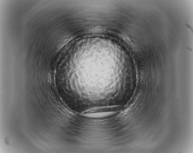 X0000098011209200804111224