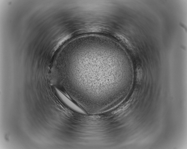 X0000098011210200804111224