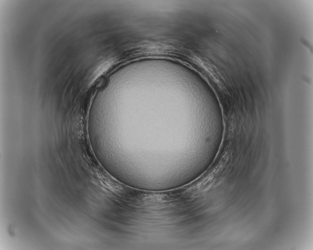 X0000098011211200804111224