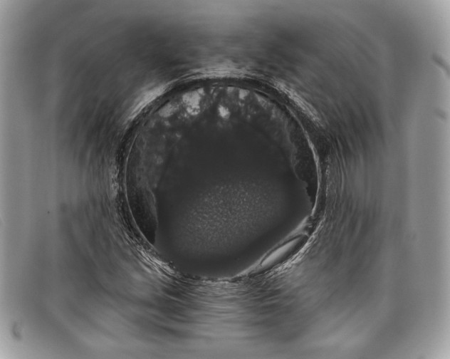 X0000098011213200804111224