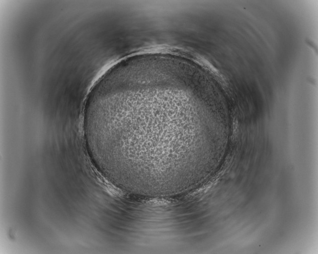 X0000098011216200804111225