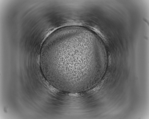 X0000098011220200804111225