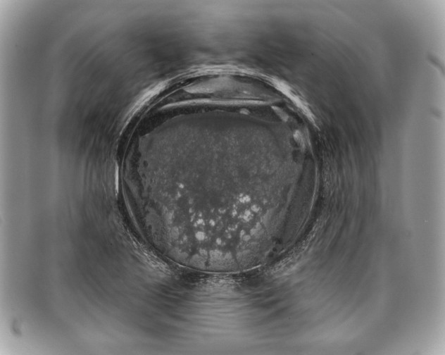 X0000098011221200804111225