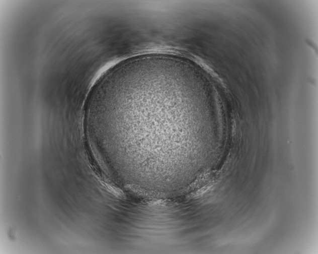 X0000098011222200804111225