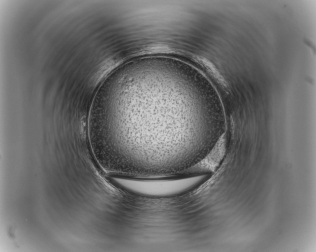 X0000098011225200804111225