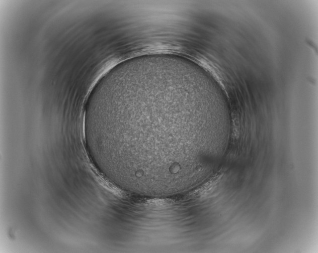 X0000098011227200804111225