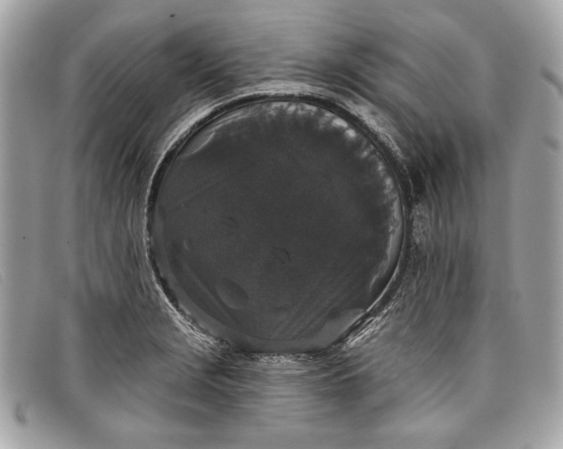 X0000098011229200804111225